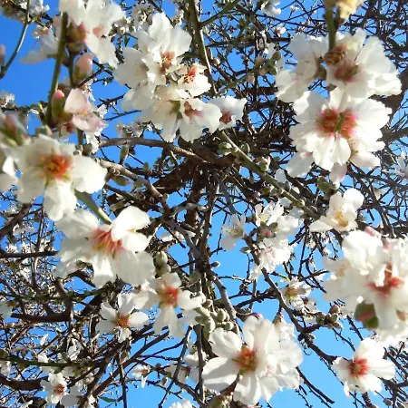 Apartamento Attico D'arte Sulla Valle Dei Templi