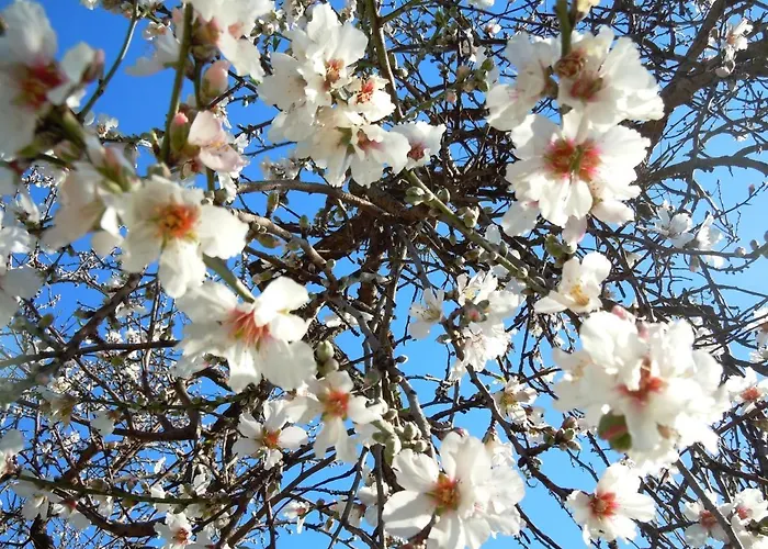 Apartment Attico D'arte Sulla Valle Dei Templi